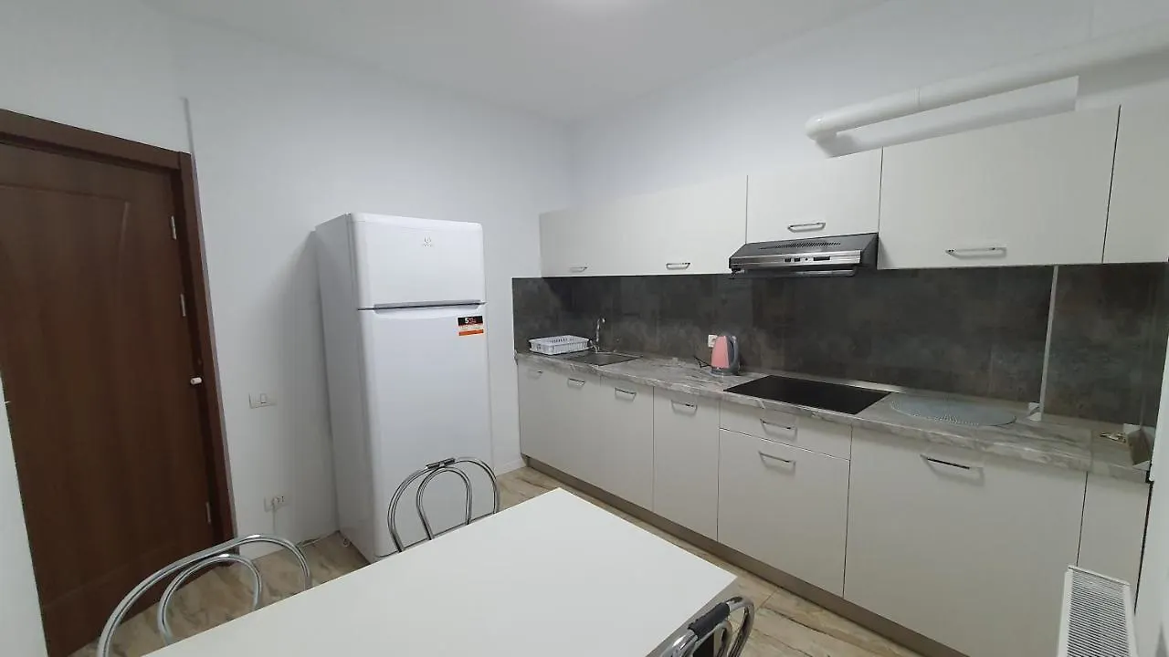 Cazare Spital Fundeni Bükreş Romanya